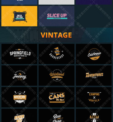 FCPX插件 222款現(xiàn)代時尚卡通婚禮能量復古商務文字標題排版動畫