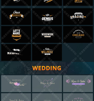 FCPX插件 222款現(xiàn)代時尚卡通婚禮能量復(fù)古商務(wù)文字標(biāo)題排版動畫